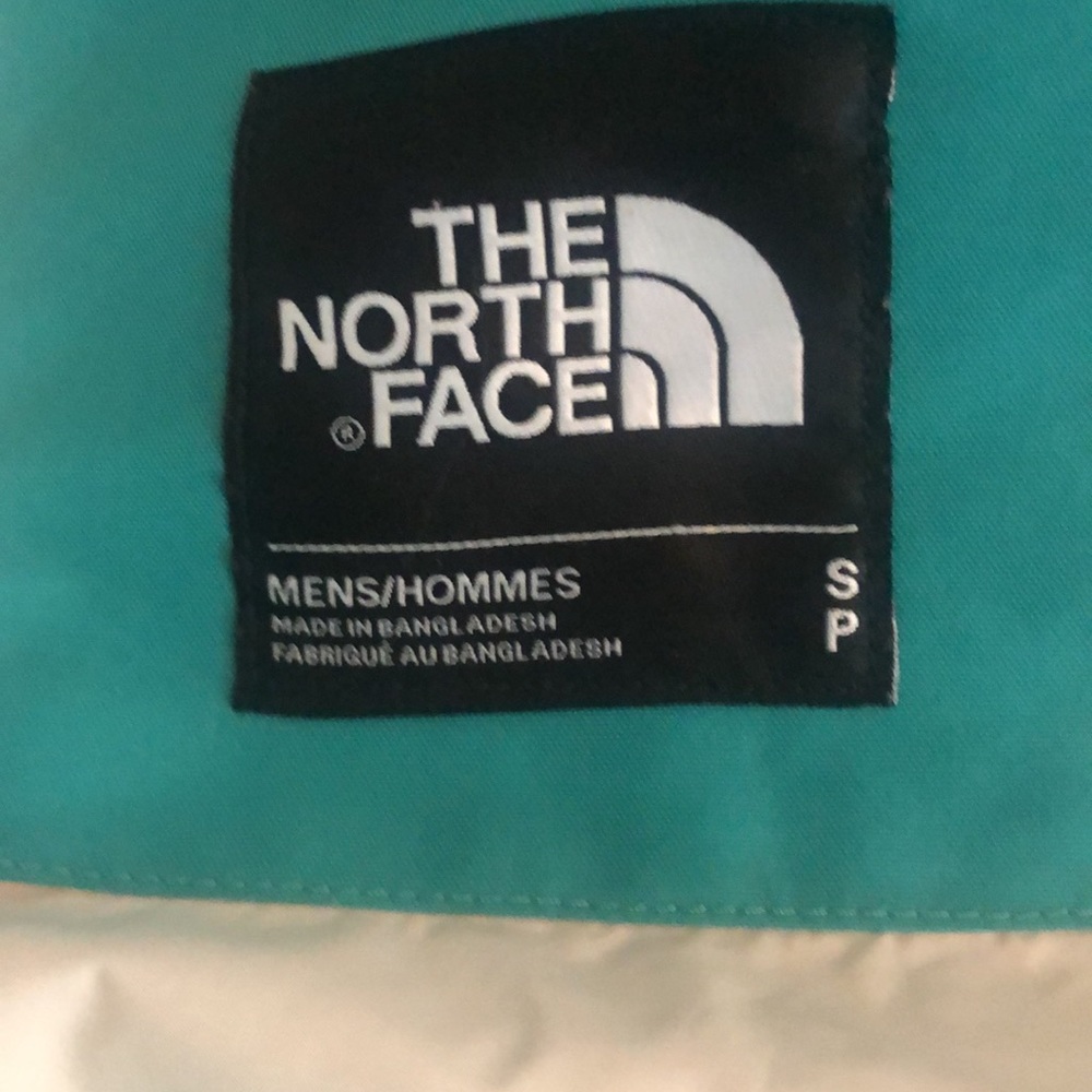 The north face fantasy ridge GTX Parka - Picture 8 of 11